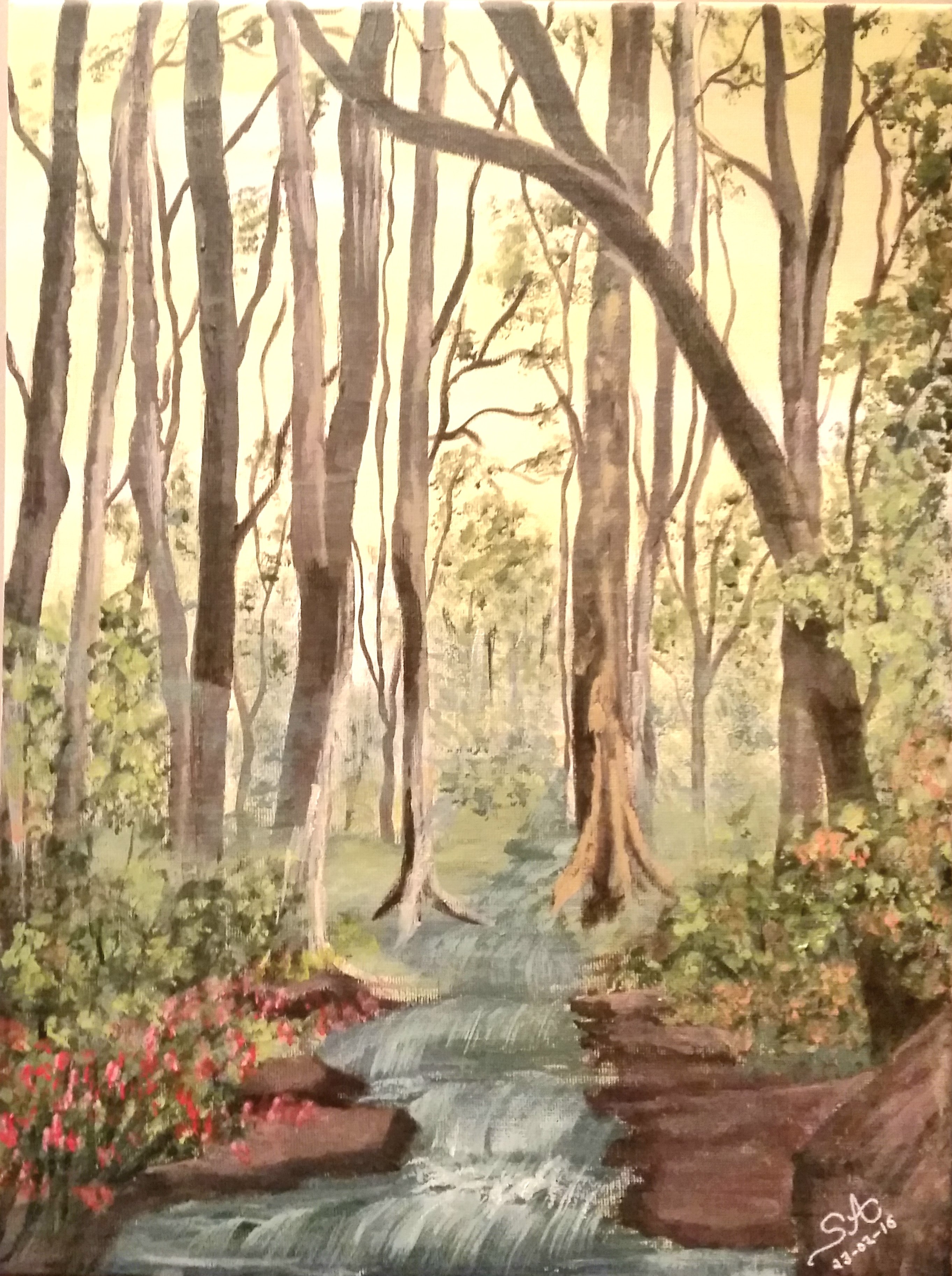 forest stream